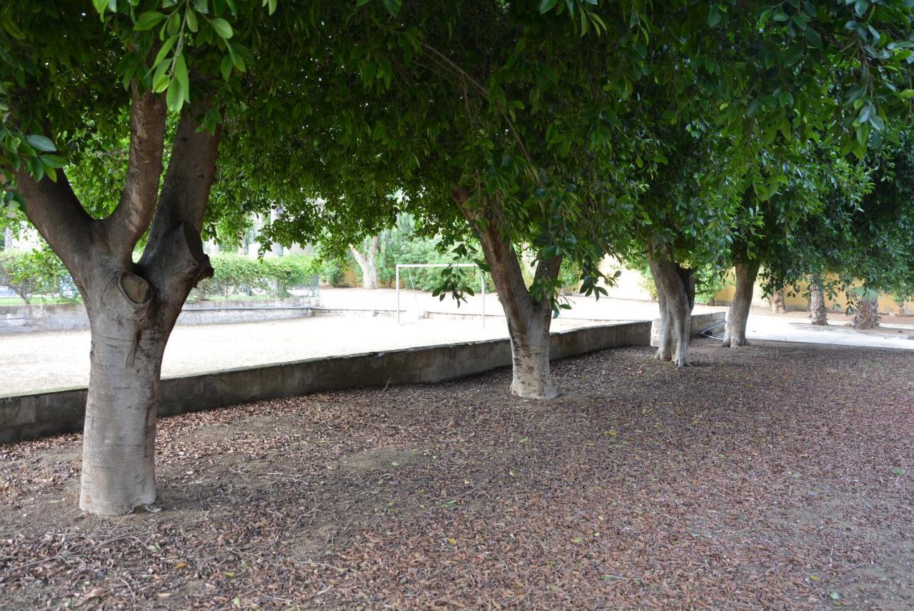 Palmeras, Piscina, Campo De Futbol Y Jardin Privados Mazarrón Eksteriør billede